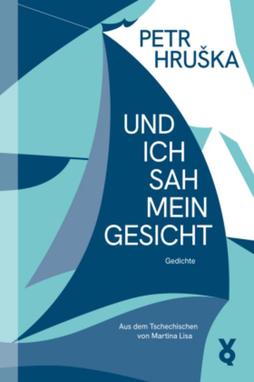 Buchcover: Und ich sah mein Gesicht
