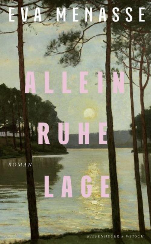 Alleinruhelage: Roman
