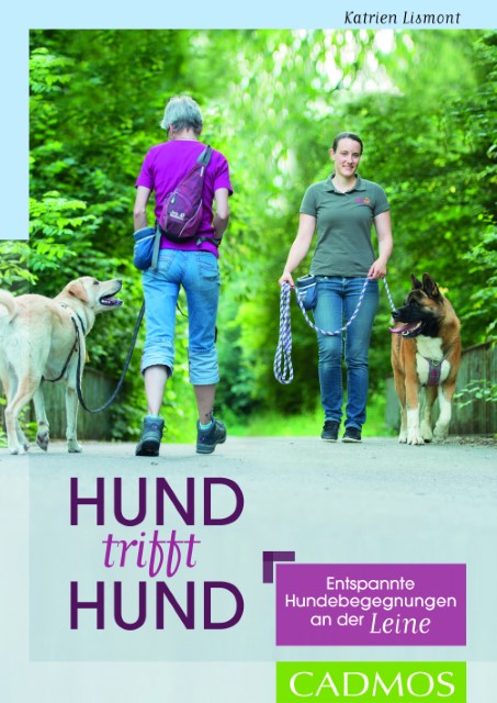 Hund trifft Hund