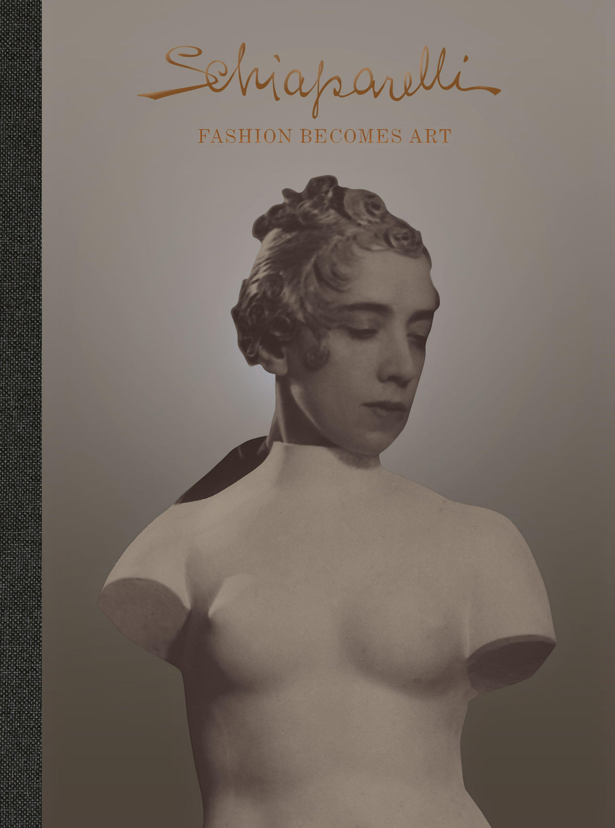 Buchcover: Schiaparelli: Fashion Becomes Art (the Official V&A Exhibition Book)