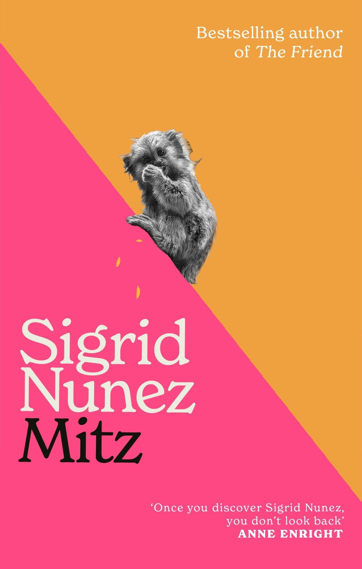 Buchcover: Mitz