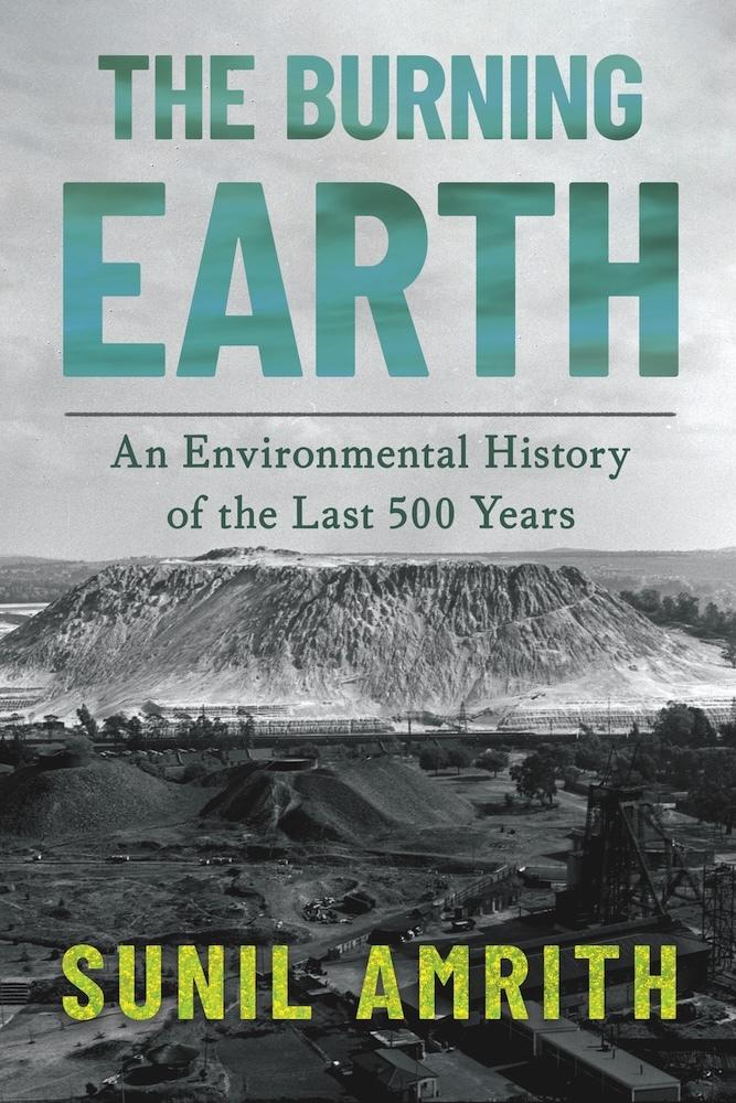 Buchcover: The Burning Earth
