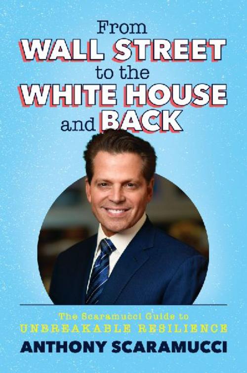 Buchcover: From Wall Street to the White House and Back