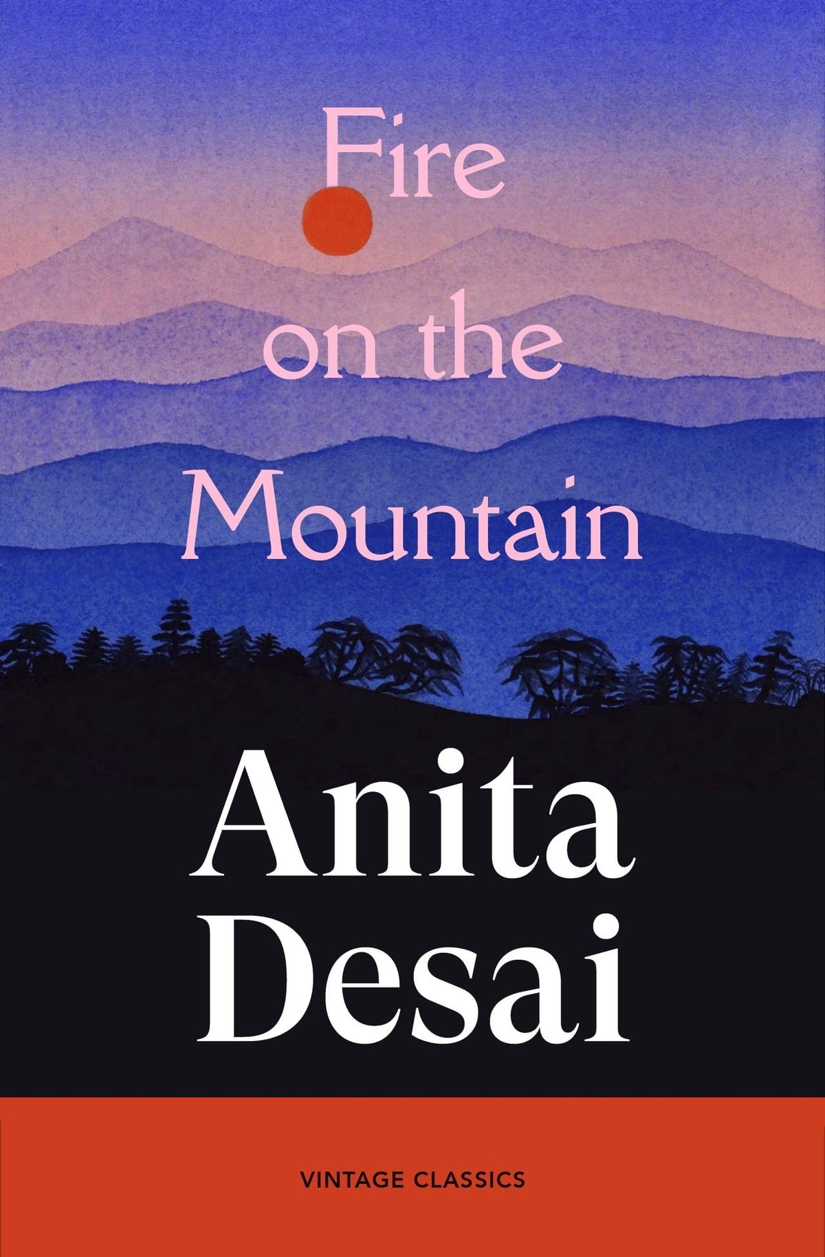 Buchcover: Fire On The Mountain