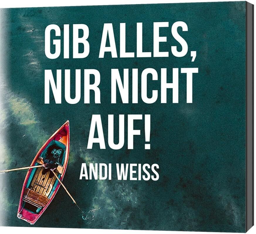 Gib alles, nur nicht auf!,1 Audio-CD