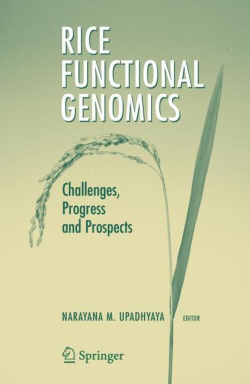 Buchcover: Rice Functional Genomics