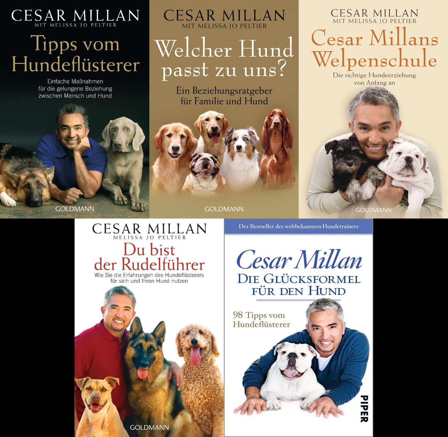 Cesar Millan Hundeflüsterer Reihe + 1 exklusives Postkartenset