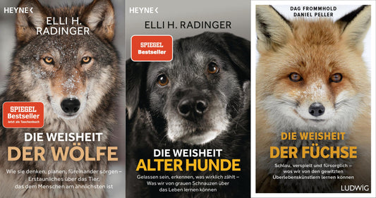 Die Weisheit der Wölfe /...alter Hunde/...Füchse im Set + 1 exklusives Postkartenset