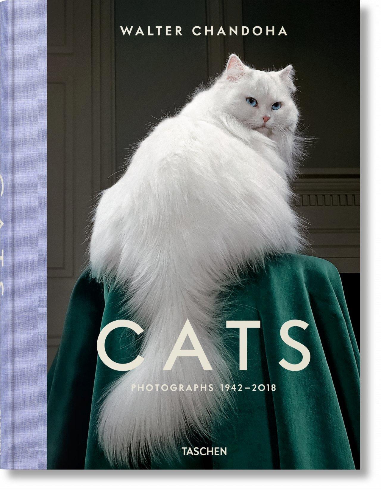 Walter Chandoha. Cats. Photographs 1942–2018: Mehrsprachige Ausgabe