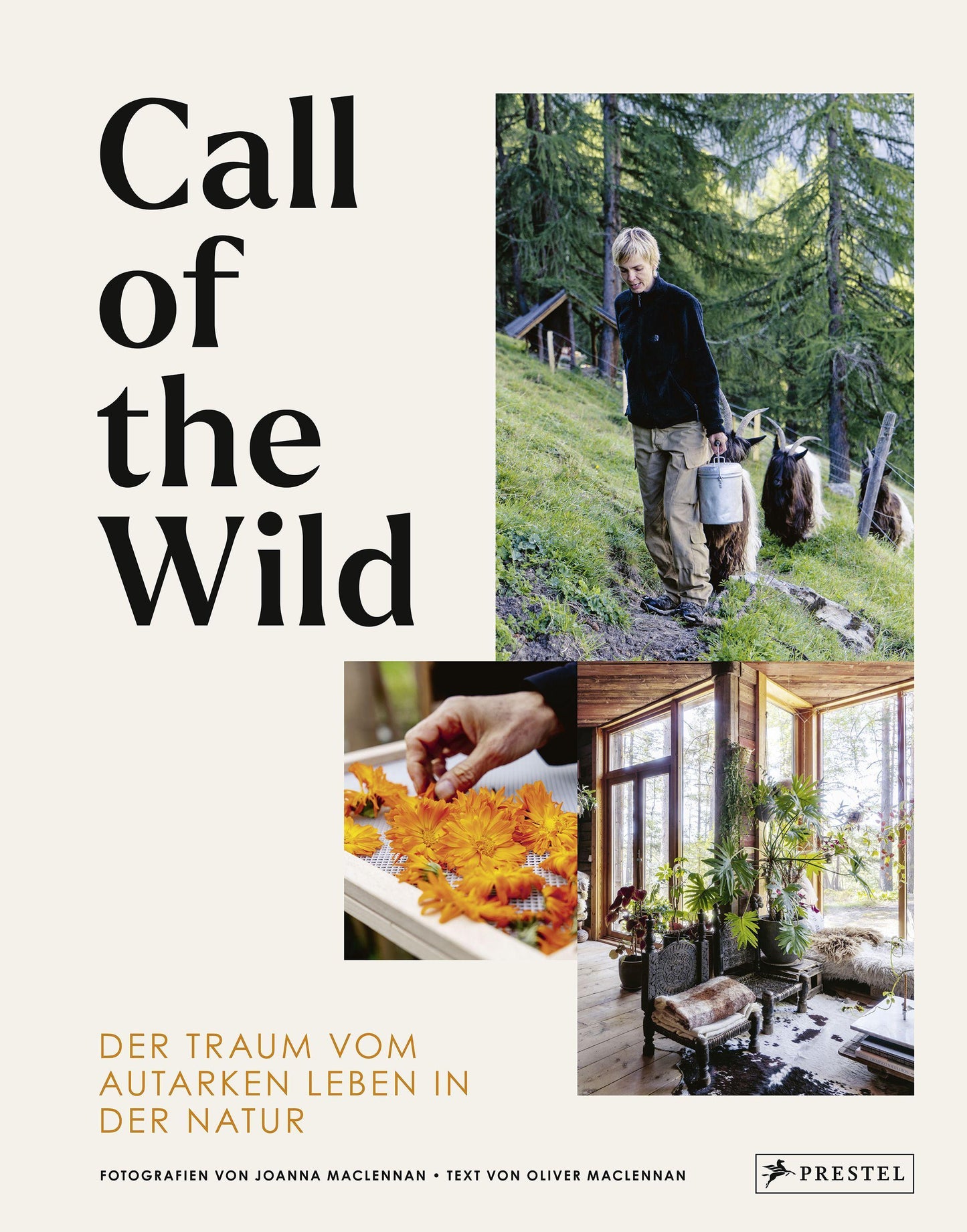 Call of the Wild: Der Traum vom autarken Leben in der Natur