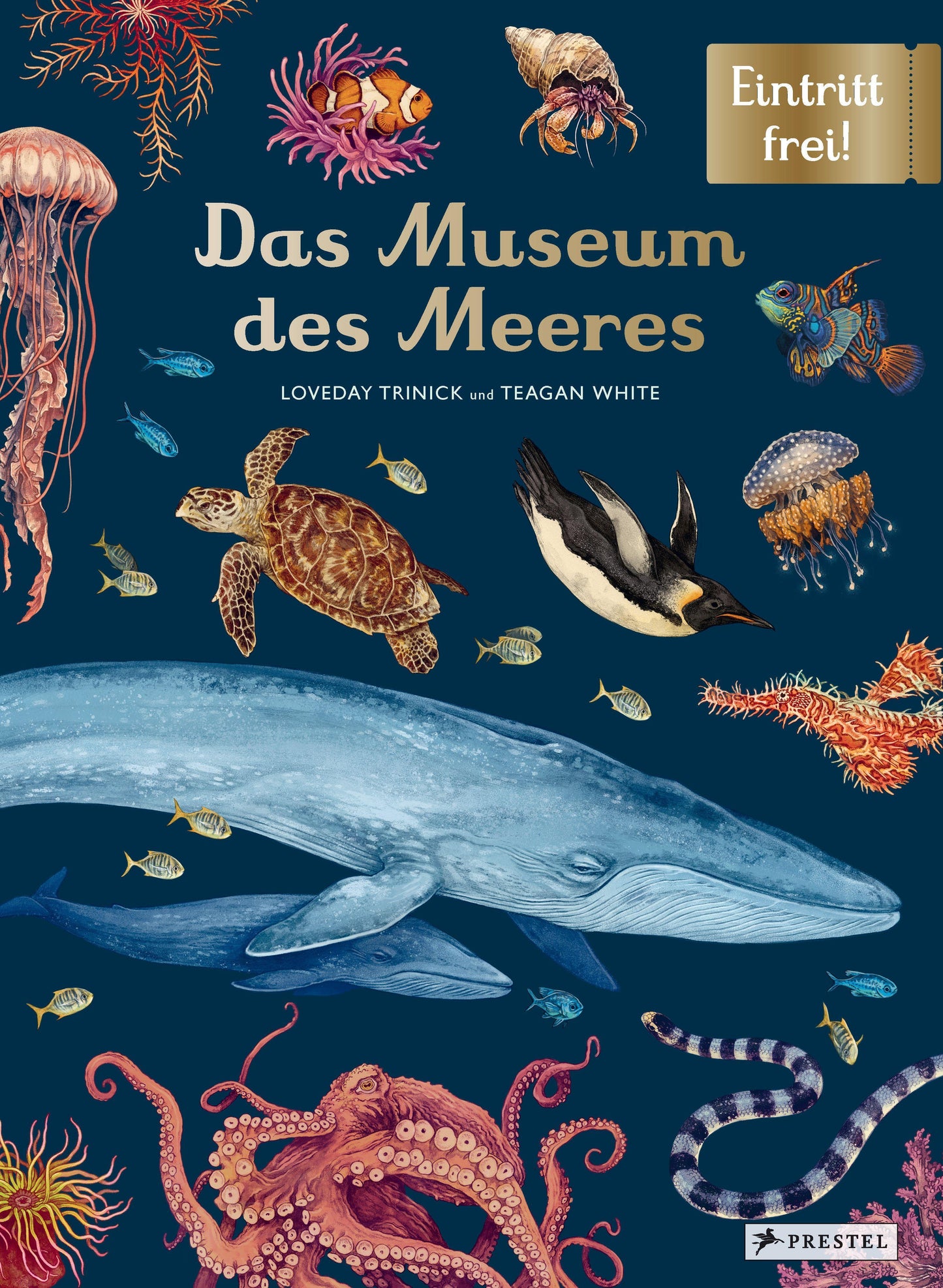 Das Museum des Meeres: Eintritt frei!