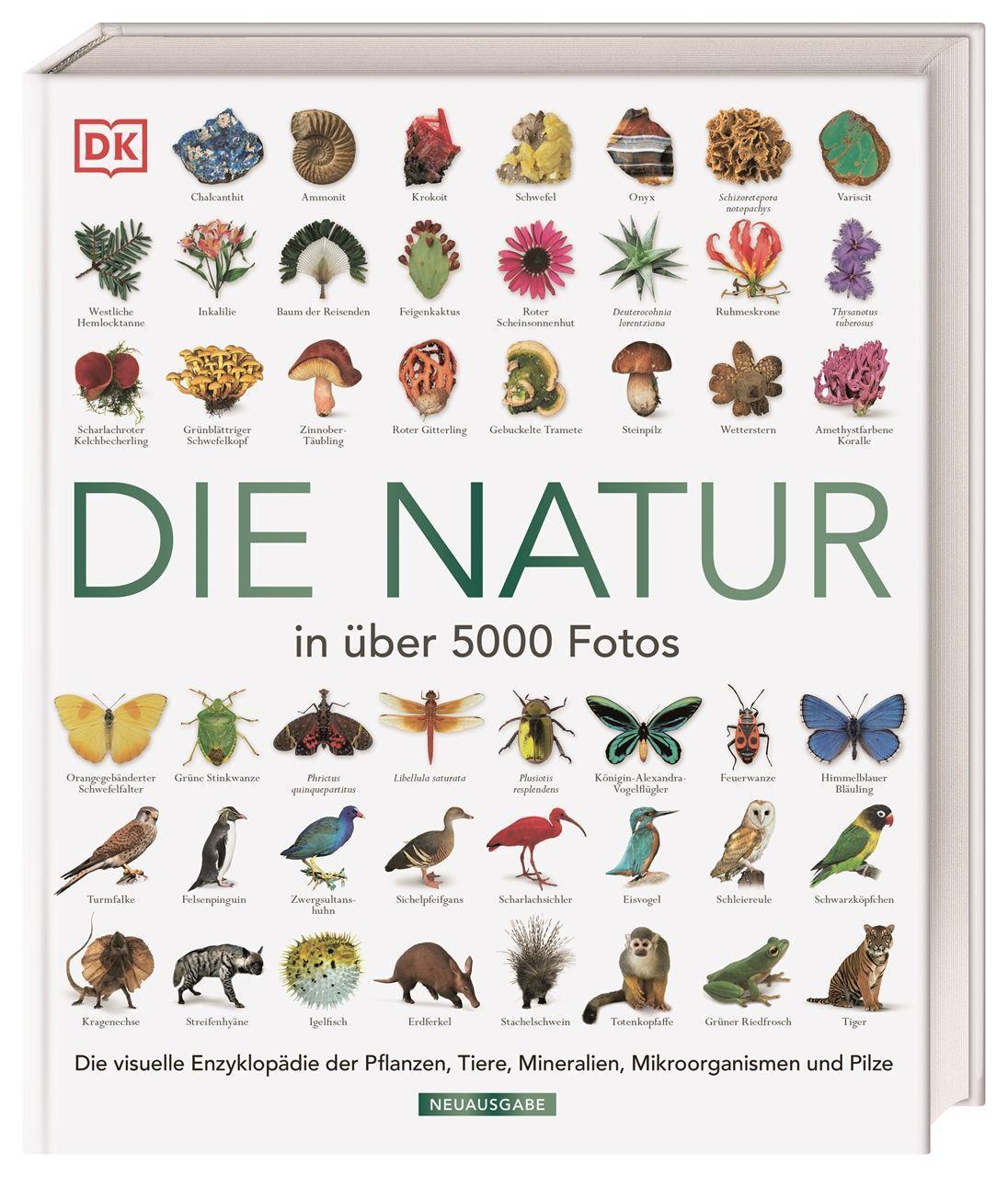 Die Natur in über 5000 Fotos: Die visuelle Enzyklopädie der Pflanzen, Tiere, Mineralien, Mikroorganismen und Pilze